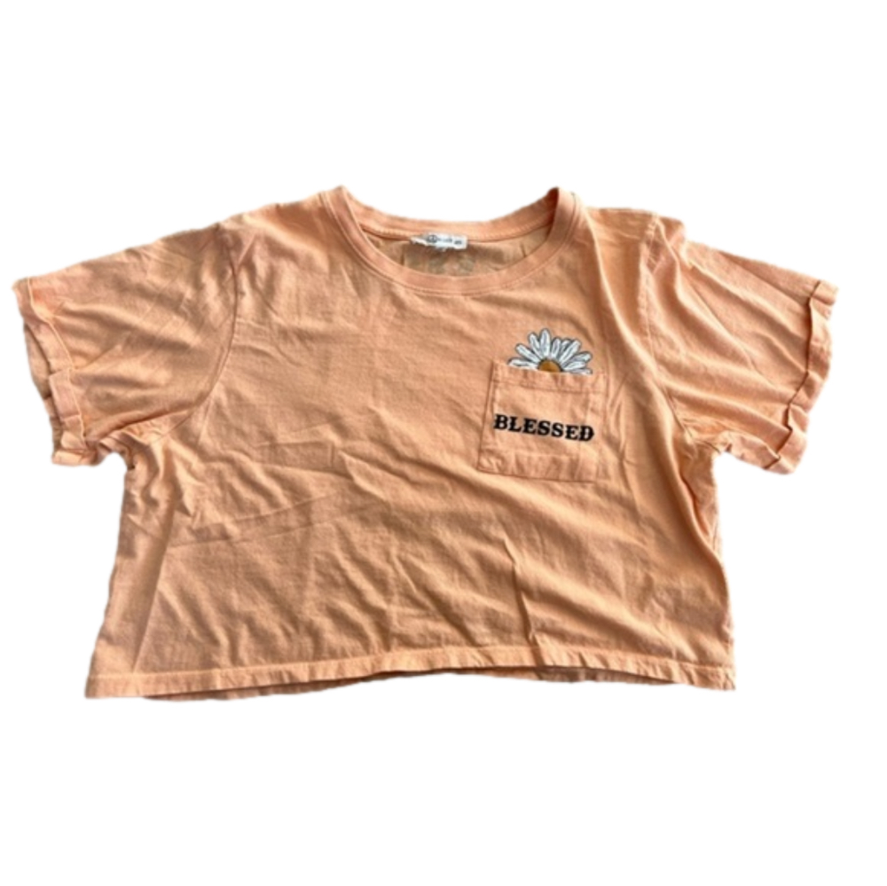 Love and Lazy Days Orange Crop Top with Daisy Details Size Large